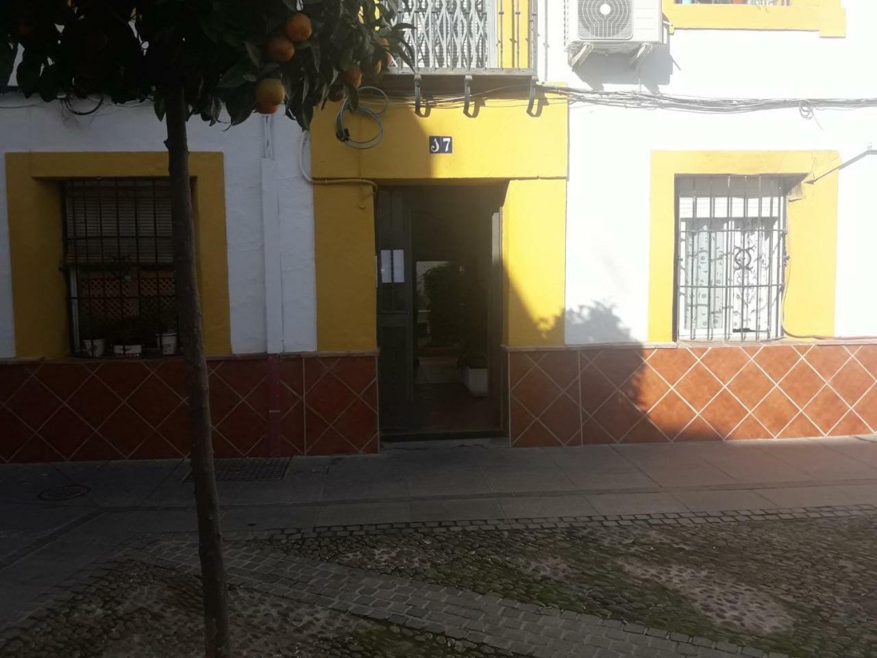 My Small Penthouse With Views.Tourism & Tranquility & Sun Apartment Córdoba Exterior foto